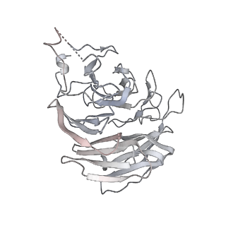 9964_6ke6_RA_v1-1
3.4 angstrom cryo-EM structure of yeast 90S small subunit preribosome