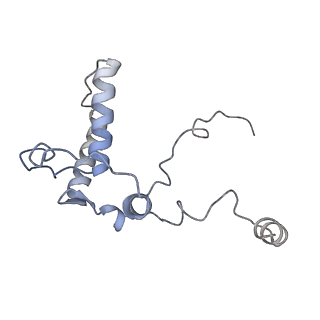 9964_6ke6_RB_v1-0
3.4 angstrom cryo-EM structure of yeast 90S small subunit preribosome