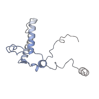 9964_6ke6_RB_v1-1
3.4 angstrom cryo-EM structure of yeast 90S small subunit preribosome