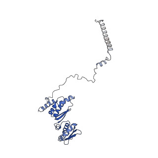 9964_6ke6_RC_v1-0
3.4 angstrom cryo-EM structure of yeast 90S small subunit preribosome
