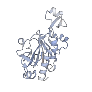 9964_6ke6_RG_v1-0
3.4 angstrom cryo-EM structure of yeast 90S small subunit preribosome