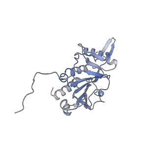 9964_6ke6_RH_v1-0
3.4 angstrom cryo-EM structure of yeast 90S small subunit preribosome