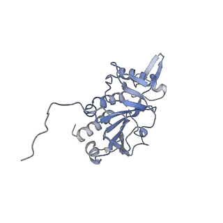 9964_6ke6_RH_v1-1
3.4 angstrom cryo-EM structure of yeast 90S small subunit preribosome