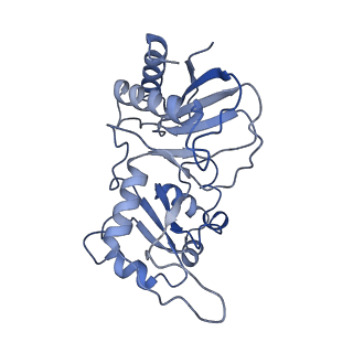 9964_6ke6_RI_v1-0
3.4 angstrom cryo-EM structure of yeast 90S small subunit preribosome