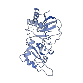 9964_6ke6_RI_v1-1
3.4 angstrom cryo-EM structure of yeast 90S small subunit preribosome