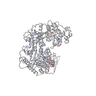 9964_6ke6_RL_v1-0
3.4 angstrom cryo-EM structure of yeast 90S small subunit preribosome