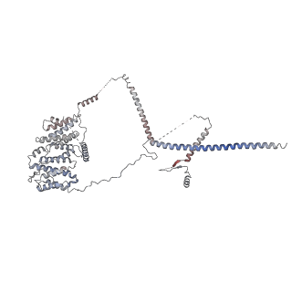 9964_6ke6_RN_v1-0
3.4 angstrom cryo-EM structure of yeast 90S small subunit preribosome