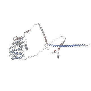 9964_6ke6_RN_v1-1
3.4 angstrom cryo-EM structure of yeast 90S small subunit preribosome