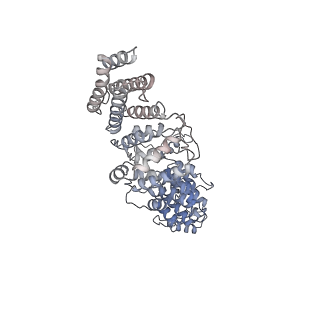 9964_6ke6_RO_v1-1
3.4 angstrom cryo-EM structure of yeast 90S small subunit preribosome