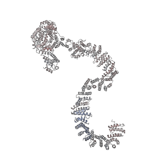 9964_6ke6_RP_v1-0
3.4 angstrom cryo-EM structure of yeast 90S small subunit preribosome