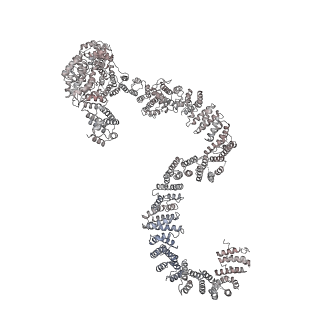 9964_6ke6_RP_v1-1
3.4 angstrom cryo-EM structure of yeast 90S small subunit preribosome