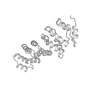 9964_6ke6_RS_v1-1
3.4 angstrom cryo-EM structure of yeast 90S small subunit preribosome