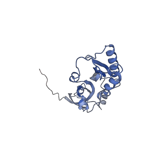 9964_6ke6_SC_v1-0
3.4 angstrom cryo-EM structure of yeast 90S small subunit preribosome