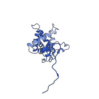 9964_6ke6_SG_v1-0
3.4 angstrom cryo-EM structure of yeast 90S small subunit preribosome