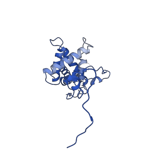 9964_6ke6_SG_v1-1
3.4 angstrom cryo-EM structure of yeast 90S small subunit preribosome