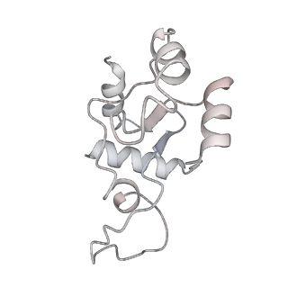 9964_6ke6_SN_v1-0
3.4 angstrom cryo-EM structure of yeast 90S small subunit preribosome