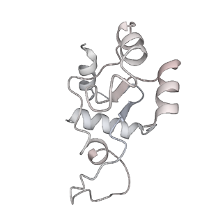 9964_6ke6_SN_v1-1
3.4 angstrom cryo-EM structure of yeast 90S small subunit preribosome