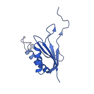 9964_6ke6_SP_v1-0
3.4 angstrom cryo-EM structure of yeast 90S small subunit preribosome