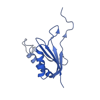 9964_6ke6_SP_v1-1
3.4 angstrom cryo-EM structure of yeast 90S small subunit preribosome