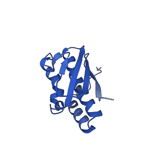 9964_6ke6_SR_v1-0
3.4 angstrom cryo-EM structure of yeast 90S small subunit preribosome