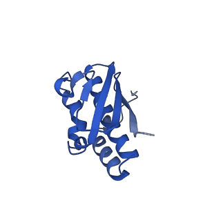 9964_6ke6_SR_v1-1
3.4 angstrom cryo-EM structure of yeast 90S small subunit preribosome