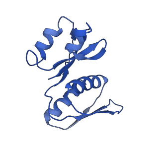 9964_6ke6_SX_v1-1
3.4 angstrom cryo-EM structure of yeast 90S small subunit preribosome