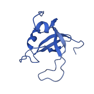 9964_6ke6_SY_v1-1
3.4 angstrom cryo-EM structure of yeast 90S small subunit preribosome