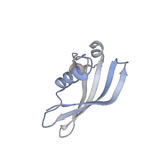 9964_6ke6_SZ_v1-0
3.4 angstrom cryo-EM structure of yeast 90S small subunit preribosome