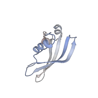 9964_6ke6_SZ_v1-1
3.4 angstrom cryo-EM structure of yeast 90S small subunit preribosome