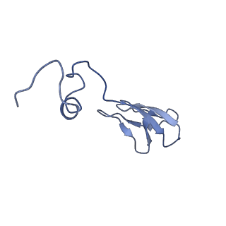 9964_6ke6_Sc_v1-1
3.4 angstrom cryo-EM structure of yeast 90S small subunit preribosome