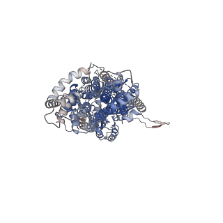 22843_7kf5_A_v1-1
Cryo-electron microscopy structure of the heavy metal efflux pump CusA in the symmetric closed state