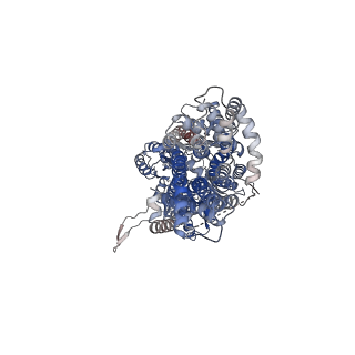 22843_7kf5_B_v1-1
Cryo-electron microscopy structure of the heavy metal efflux pump CusA in the symmetric closed state