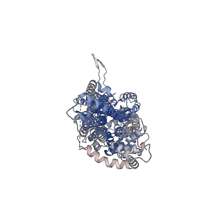 22843_7kf5_C_v1-1
Cryo-electron microscopy structure of the heavy metal efflux pump CusA in the symmetric closed state