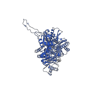 22844_7kf6_A_v1-1
Cryo-electron microscopy structure of the heavy metal efflux pump CusA in a homogeneous binding copper(1) state