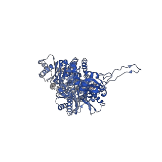 22844_7kf6_B_v1-1
Cryo-electron microscopy structure of the heavy metal efflux pump CusA in a homogeneous binding copper(1) state