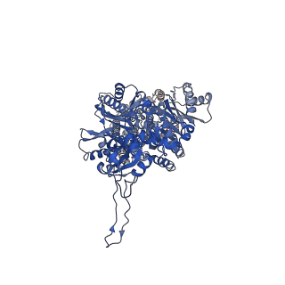 22844_7kf6_C_v1-1
Cryo-electron microscopy structure of the heavy metal efflux pump CusA in a homogeneous binding copper(1) state