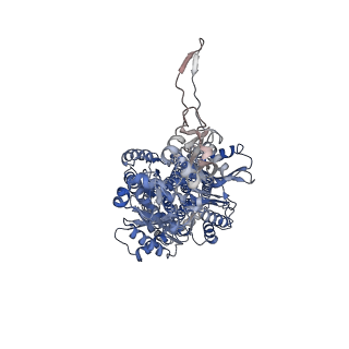 22845_7kf7_A_v1-1
Cryo-electron microscopy structure of the heavy metal efflux pump CusA in a heterogeneous 1 open and 2 closed protomer conformation