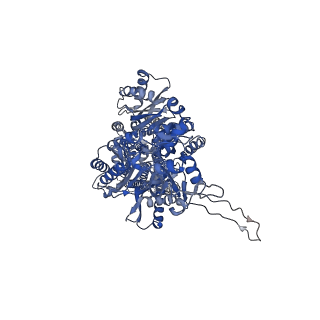 22845_7kf7_B_v1-1
Cryo-electron microscopy structure of the heavy metal efflux pump CusA in a heterogeneous 1 open and 2 closed protomer conformation