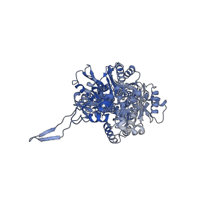 22845_7kf7_C_v1-1
Cryo-electron microscopy structure of the heavy metal efflux pump CusA in a heterogeneous 1 open and 2 closed protomer conformation