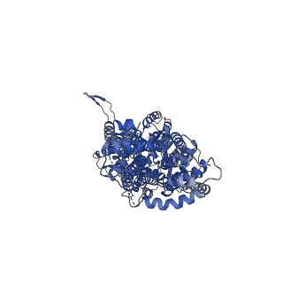 22846_7kf8_A_v1-1
Cryo-electron microscopy structure of the heavy metal efflux pump CusA in a heterogeneous 2 open and 1 closed protomer conformation