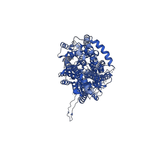 22846_7kf8_B_v1-1
Cryo-electron microscopy structure of the heavy metal efflux pump CusA in a heterogeneous 2 open and 1 closed protomer conformation