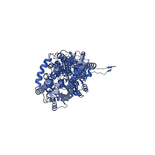 22846_7kf8_C_v1-1
Cryo-electron microscopy structure of the heavy metal efflux pump CusA in a heterogeneous 2 open and 1 closed protomer conformation