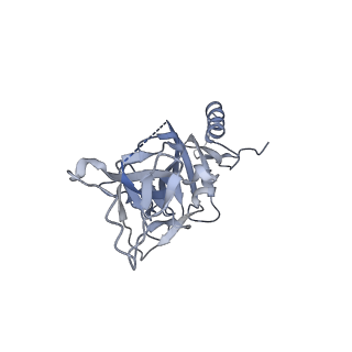 22847_7kf9_A_v1-0
Ebola virus GP (mucin deleted, Makona strain) bound to antibody Fab EBOV-296 and EBOV-515