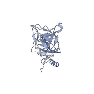 22847_7kf9_B_v1-0
Ebola virus GP (mucin deleted, Makona strain) bound to antibody Fab EBOV-296 and EBOV-515
