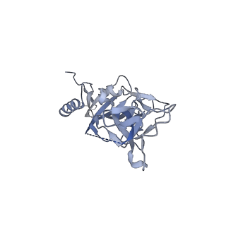 22847_7kf9_C_v1-0
Ebola virus GP (mucin deleted, Makona strain) bound to antibody Fab EBOV-296 and EBOV-515