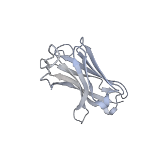 22847_7kf9_G_v1-0
Ebola virus GP (mucin deleted, Makona strain) bound to antibody Fab EBOV-296 and EBOV-515