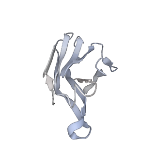 22847_7kf9_K_v1-0
Ebola virus GP (mucin deleted, Makona strain) bound to antibody Fab EBOV-296 and EBOV-515