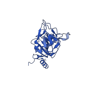 22848_7kfb_A_v1-0
Ebola virus GP (mucin deleted, Makona strain) bound to antibody Fab EBOV-442