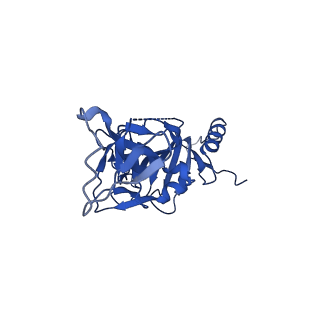22848_7kfb_B_v1-0
Ebola virus GP (mucin deleted, Makona strain) bound to antibody Fab EBOV-442