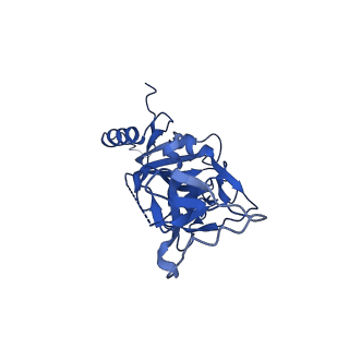 22848_7kfb_C_v1-0
Ebola virus GP (mucin deleted, Makona strain) bound to antibody Fab EBOV-442